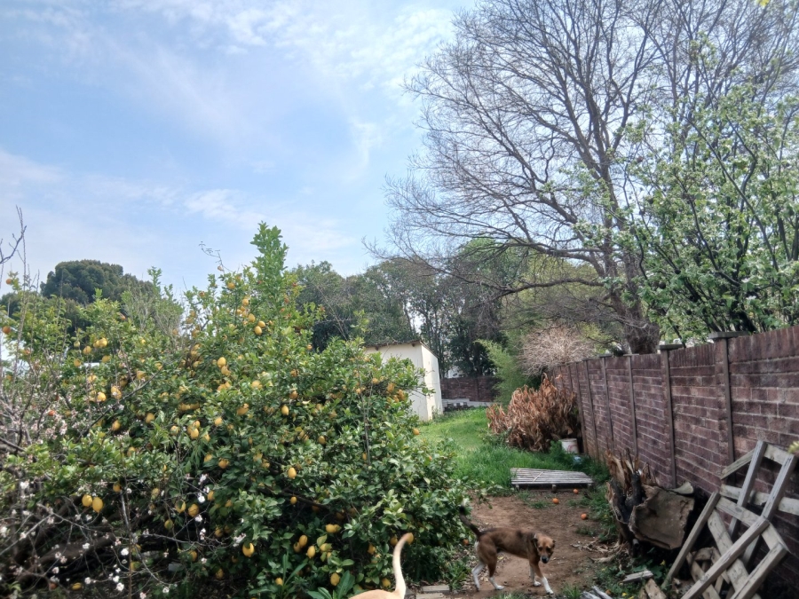 3 Bedroom Property for Sale in Wilgehof Free State